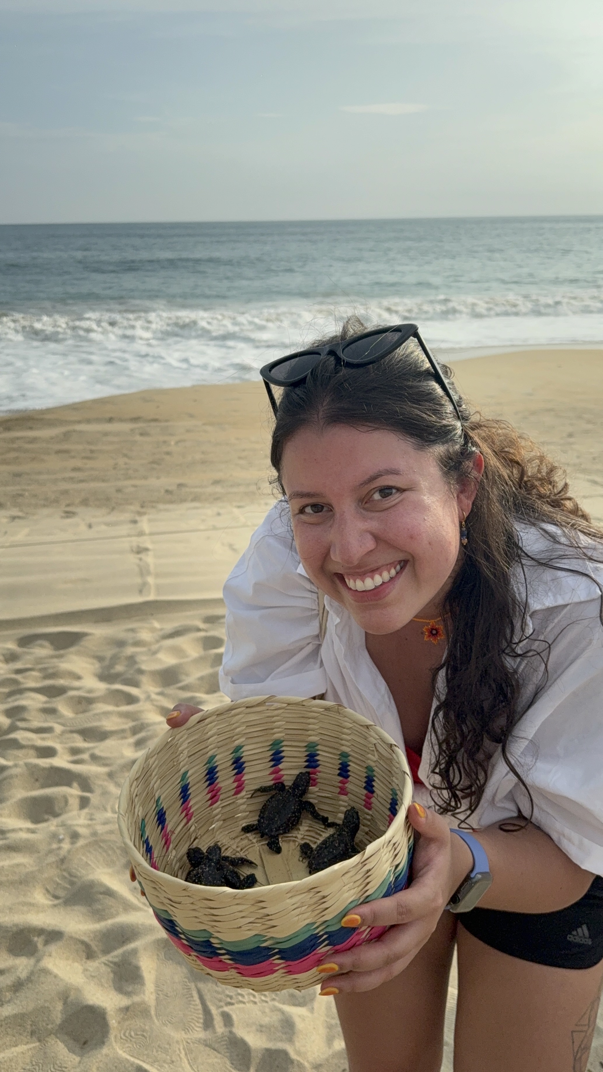a person holding a basket with a turtle on the beach