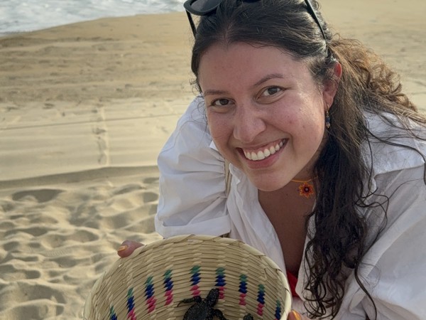a person holding a basket with a turtle on the beach