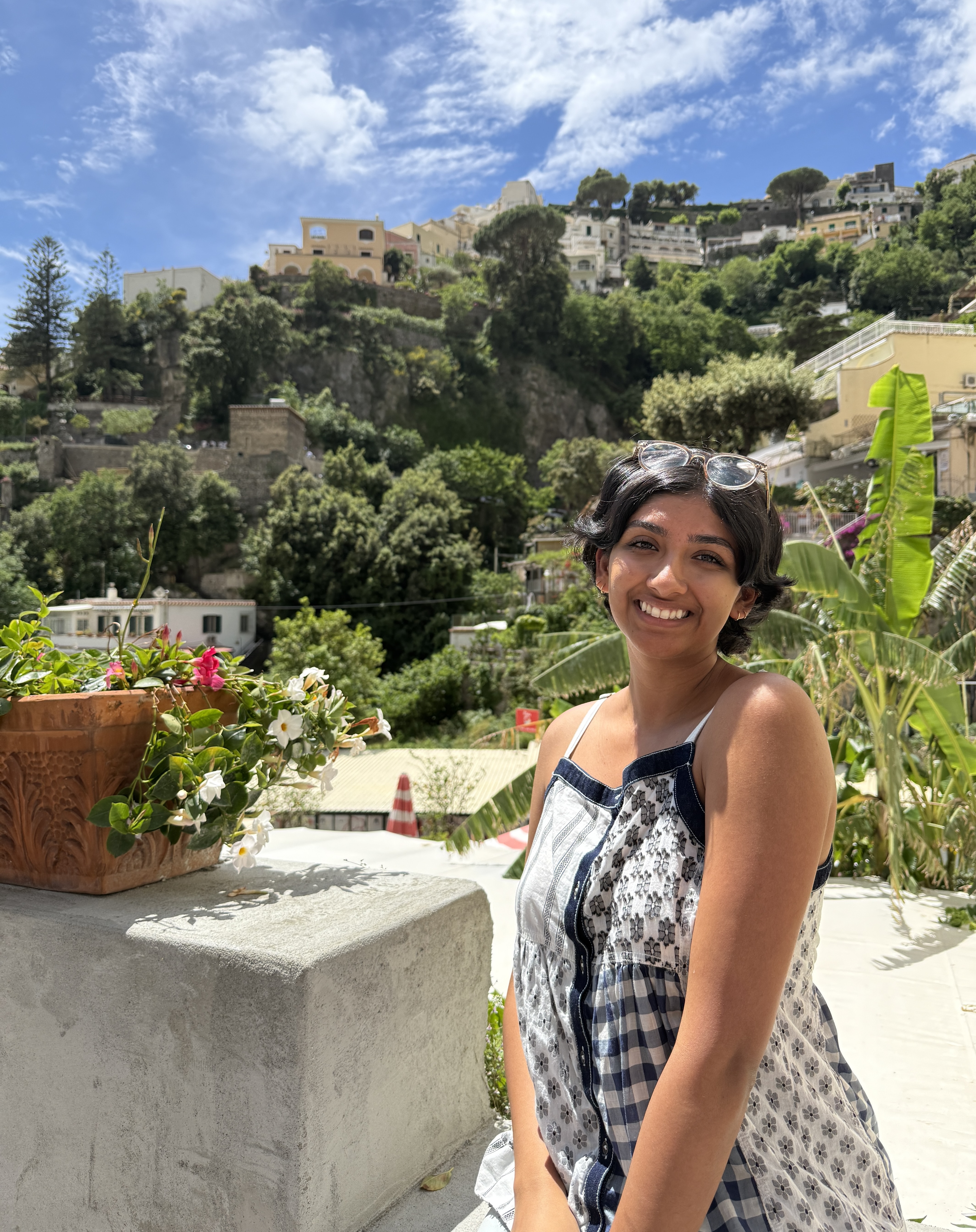a person standing on a ledge with plants and buildings in the background