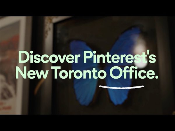 a blue butterfly on a glass surface